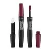 Rimmel Lasting Provocalips Lip Color Lippenstift 570 No Wine-Ing